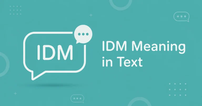 IDM Meaning in Text explained with a clear chat slang graphic