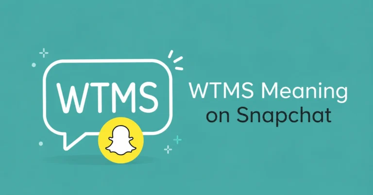 WTMS Meaning on Snapchat explained with a modern Snapchat chat graphic