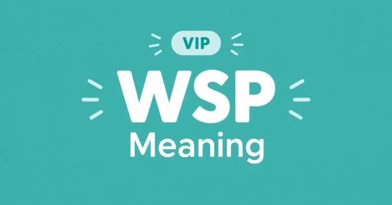 WSP Meaning in text and chat