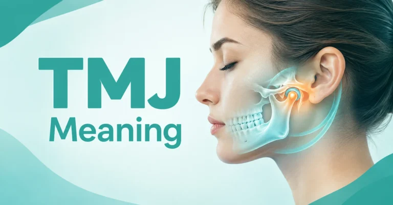 TMJ Meaning explained with jaw joint anatomy illustration