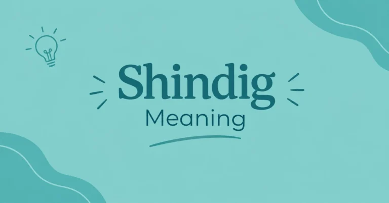 Shindig Meaning – definition and explanation of the word shindig