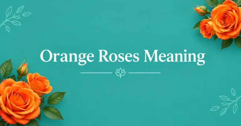 Orange Roses Meaning featured image with vibrant orange roses on a teal background.