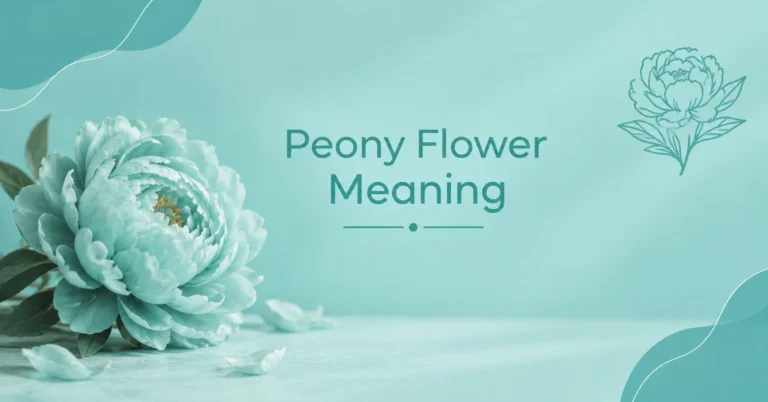 Peony Flower Meaning: Symbolism, Love, Beauty, and Prosperity