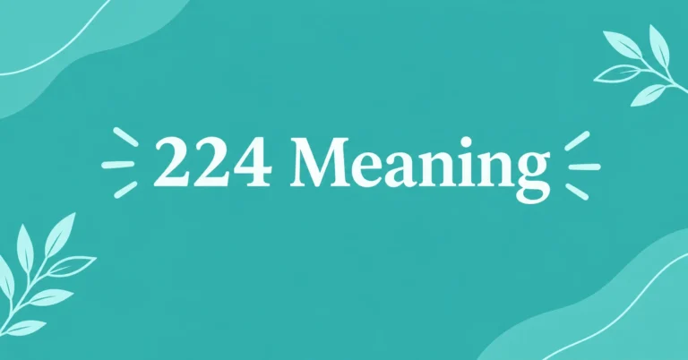 224 Meaning explained with a clean modern number-themed illustration