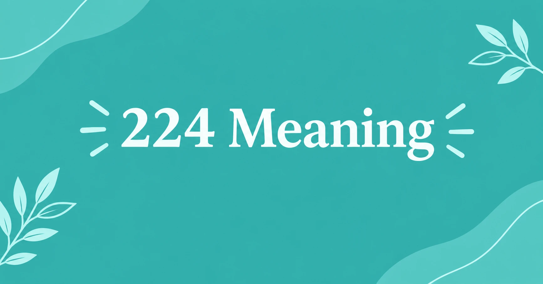 224 Meaning explained with a clean modern number-themed illustration