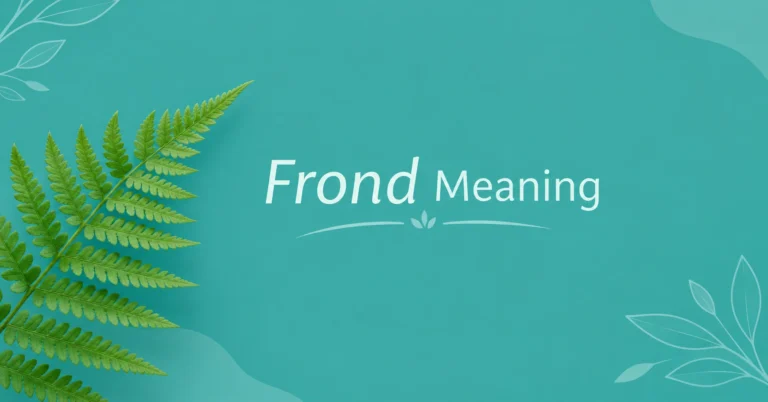 Frond Meaning illustrated with a green fern leaf on a teal background, explaining the definition of a frond.