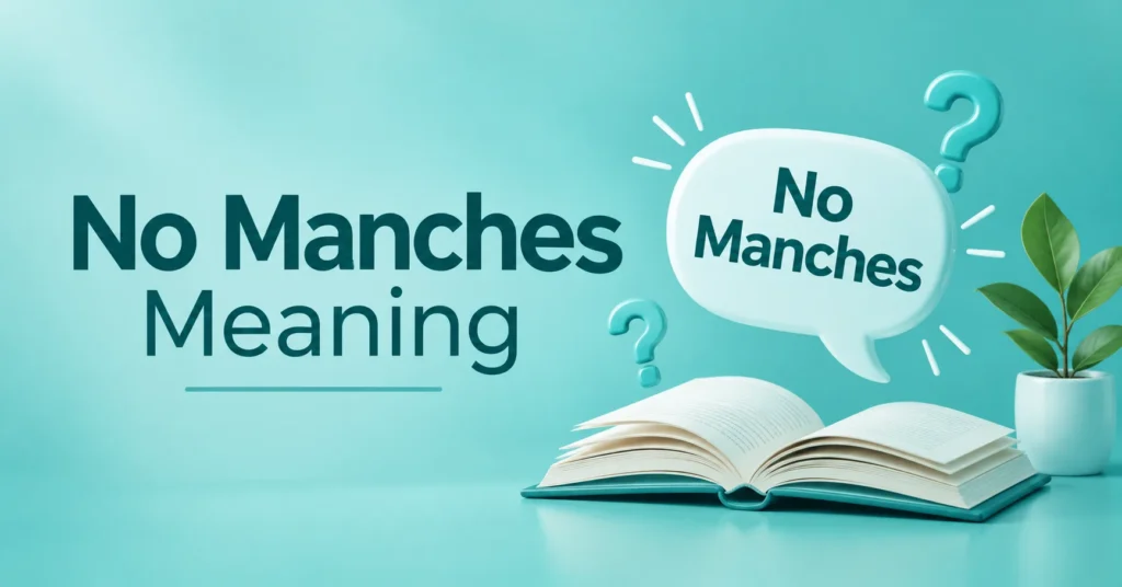 No Manches meaning infographic featuring an open book, speech bubble, and question marks on a teal background.